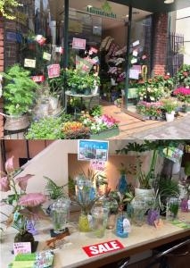 ♪夏のグリーンSALE♪｜「シーズン花達」　（東京都目黒区の花キューピット加盟店 花屋）のブログ